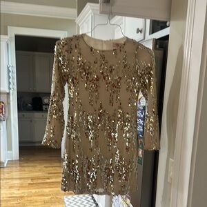 Sequin Embellished Dress